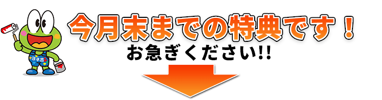 今月末までの特典です!お急ぎください!!