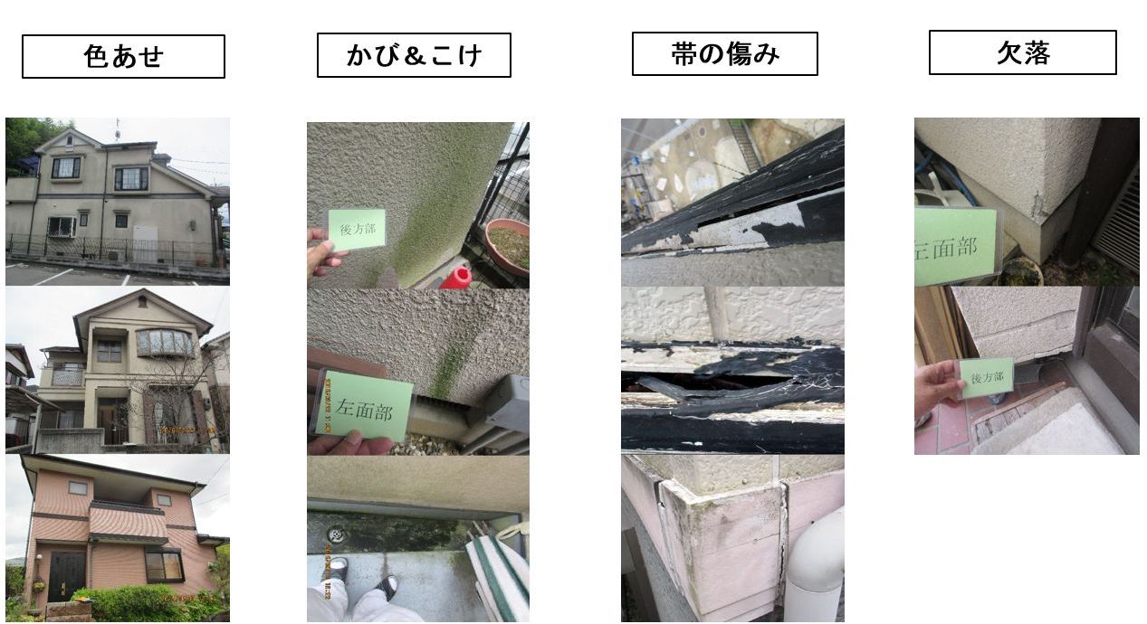 色褪せ、カビ&こけ、帯の痛み、欠落