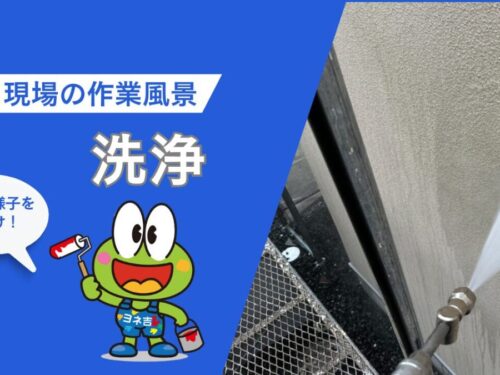洗浄
