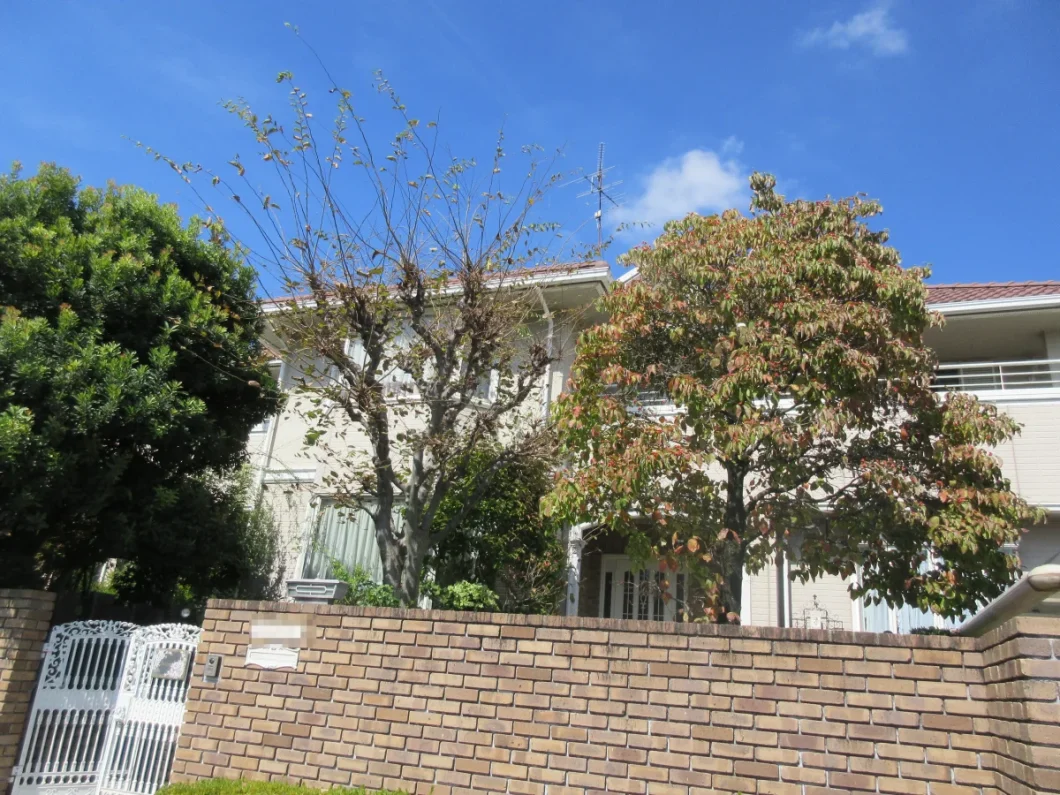 奈良香芝市T様邸　外壁塗装・屋根塗装工事 施工前の写真