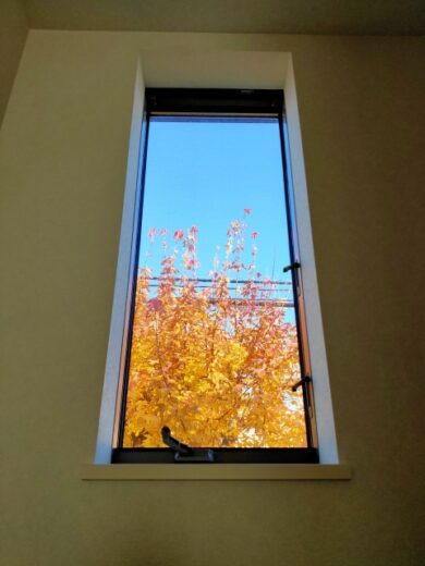 奈良の香芝の株式会社ヨネヤの外壁塗装と屋根塗装の窓から見える秋の景色