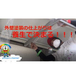 養生