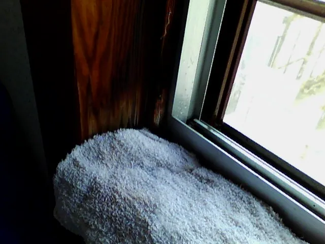 奈良の外壁塗装・屋根塗装は実績No.1安心のヨネヤの雨漏りをタオルで覆う