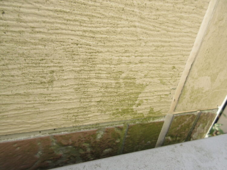 奈良の香芝の株式会社ヨネヤの外壁塗装と屋根塗装のカビ・コケ