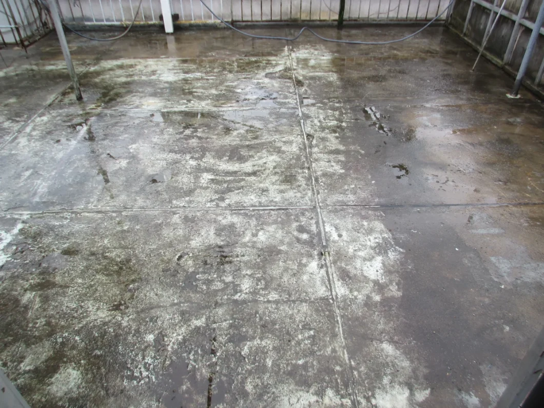 奈良県大和高田市藤森M様邸　屋上防水工事 施工前の写真