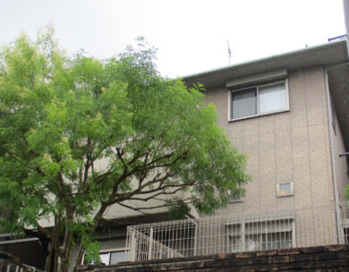 奈良香芝市N様邸　外壁塗装・屋根塗装工事 施工前の写真
