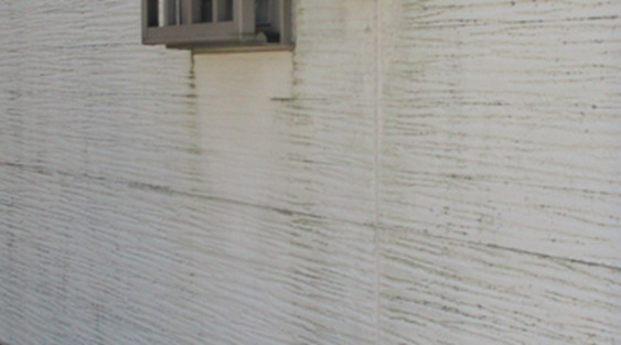 奈良の香芝市の株式会社ヨネヤの外壁塗装と屋根塗装の屋根修理のカビやコケ